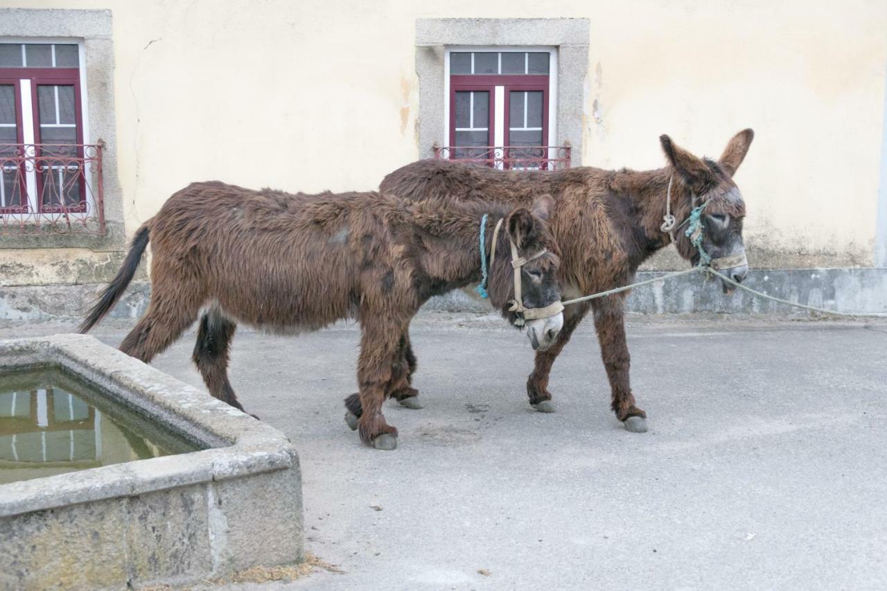 ミランダ・ド・ドウロ Casa De Belharinoヴィラ エクステリア 写真